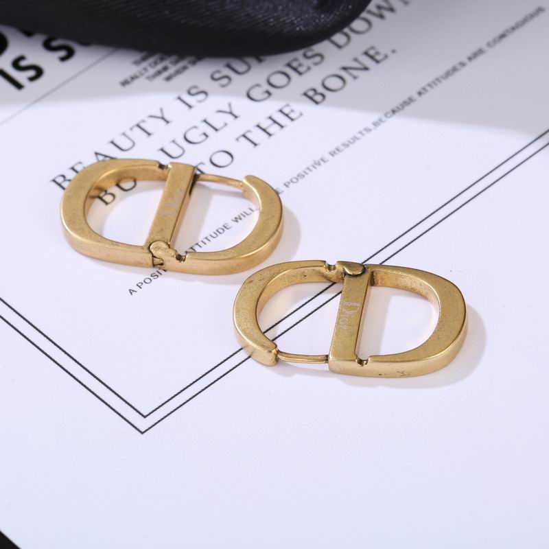 Dior Earring 04lyr224